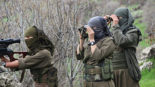 Turkish Offensive Continues in Iraqi Kurdistan
